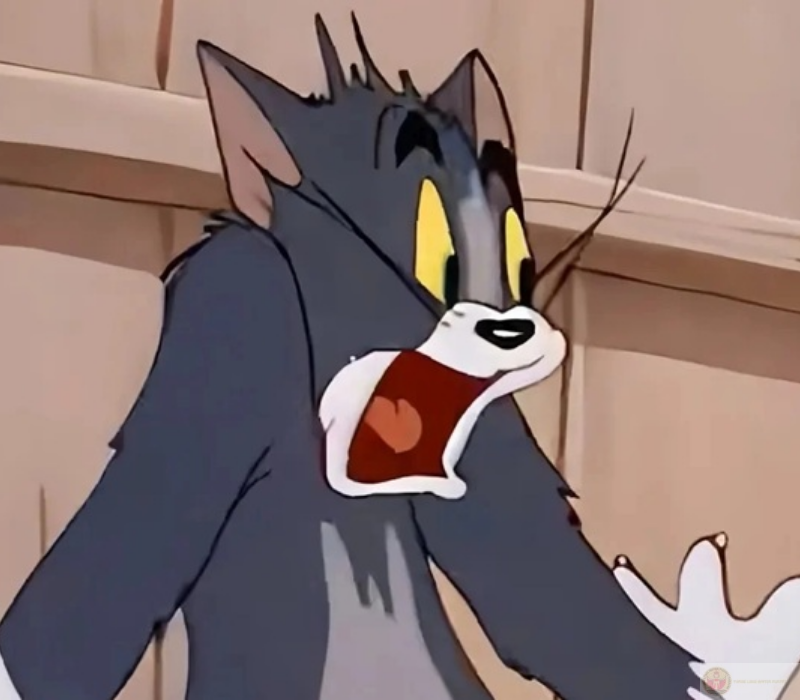 Ảnh meme khi lỡ tay làm sai điều gì đó và bị mọi người phát hiện ngay