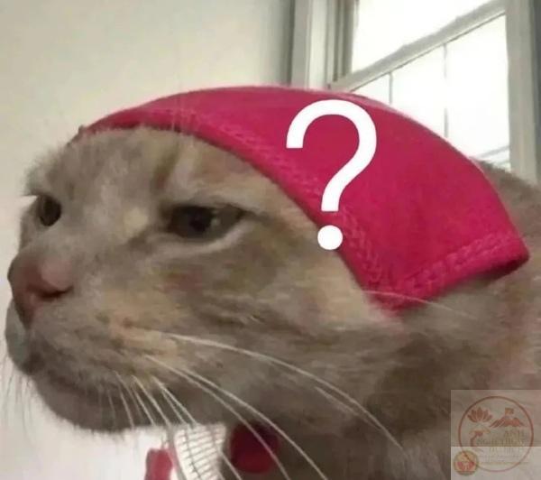 hình ảnh meme chấm hỏi