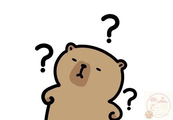 meme mèo thắc mắc