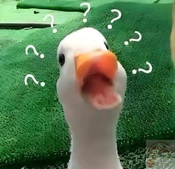 Meme chấm hỏi lạ lùng