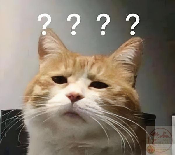 Meme dấu hỏi vui cười