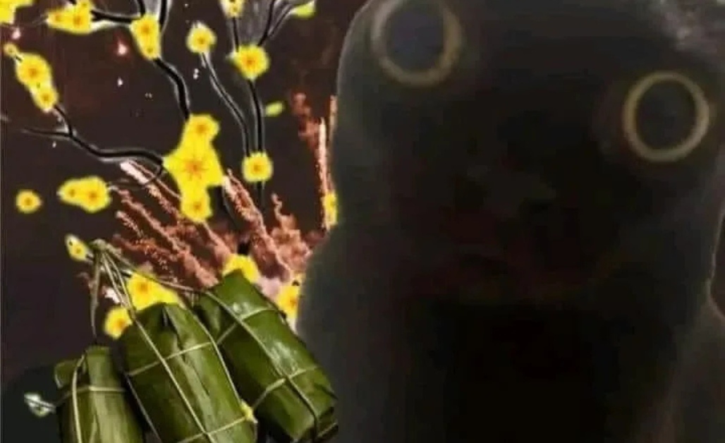 Meme mèo gào thét