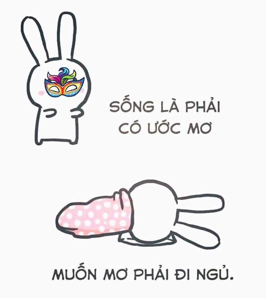 Ảnh thỏ 7 màu instagram