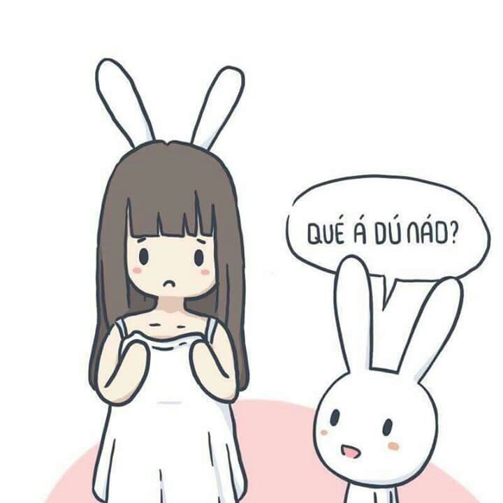 Ảnh thỏ 7 màu full color