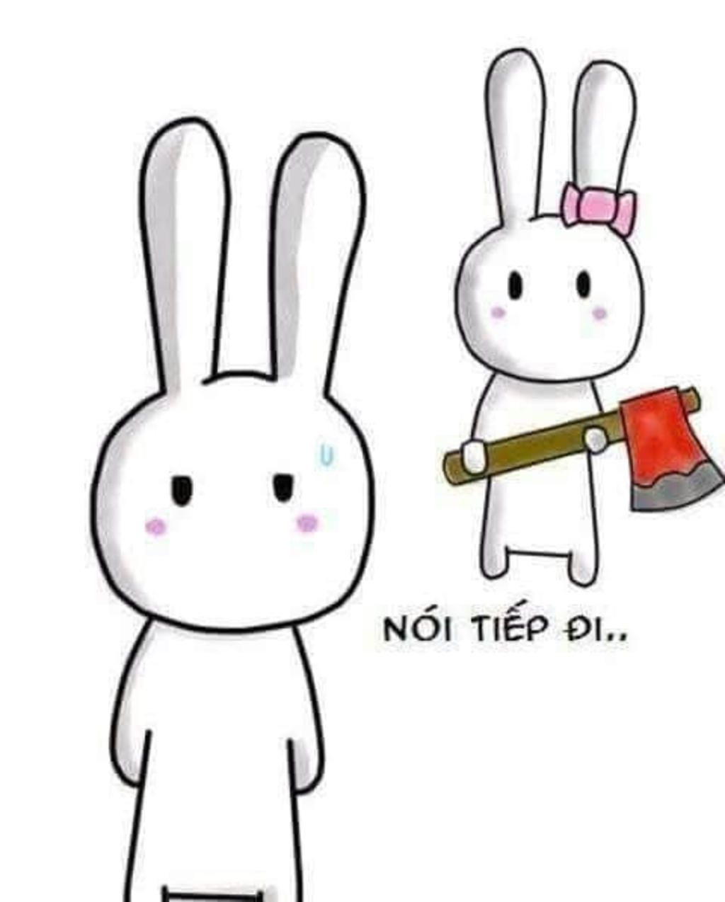 Ảnh thỏ 7 màu HD