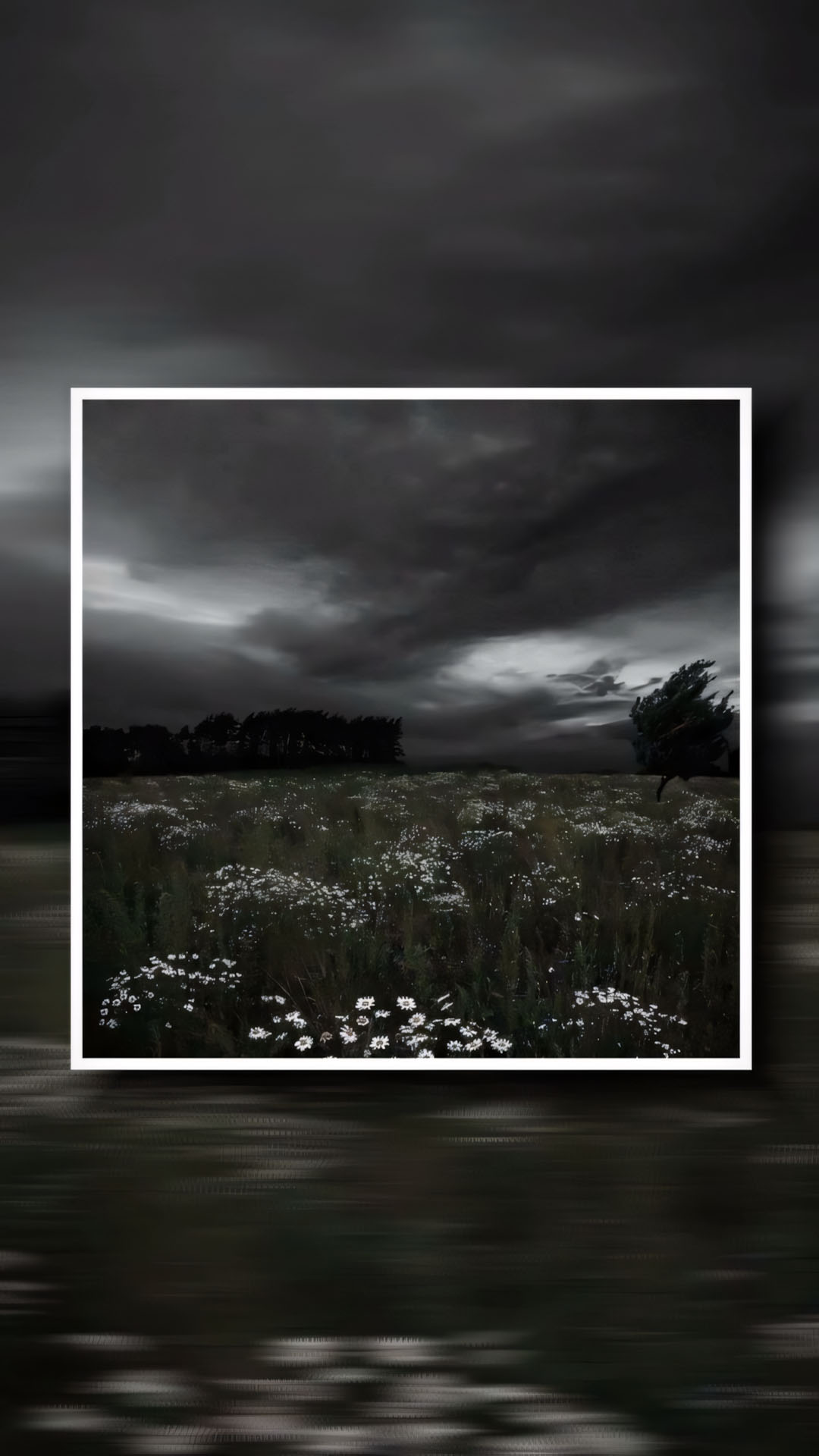 hinh nen buon tam trang 1920px 1080px full hd 2