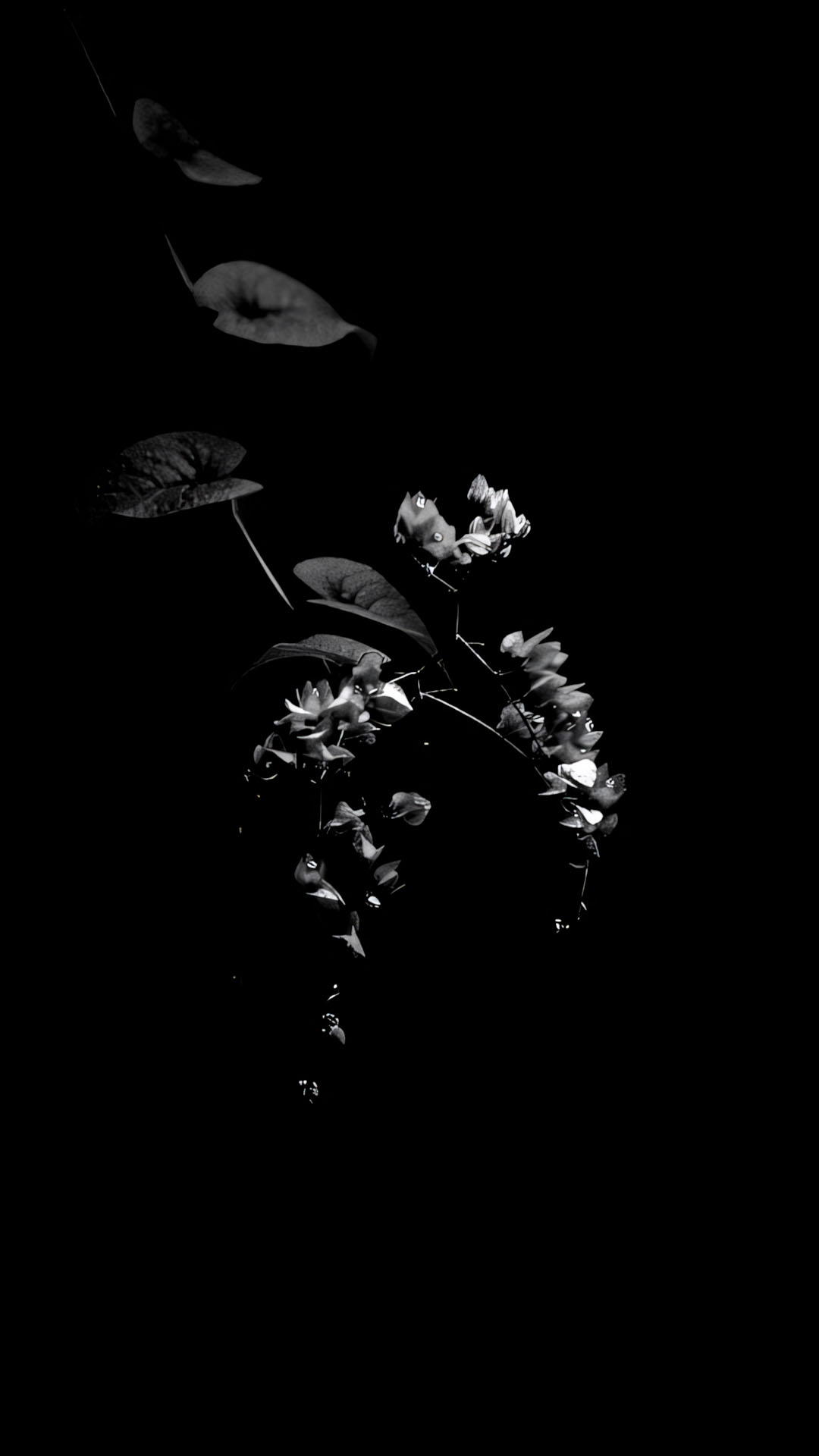 hinh nen dien thoai buon 1920px 1080px full hd 18