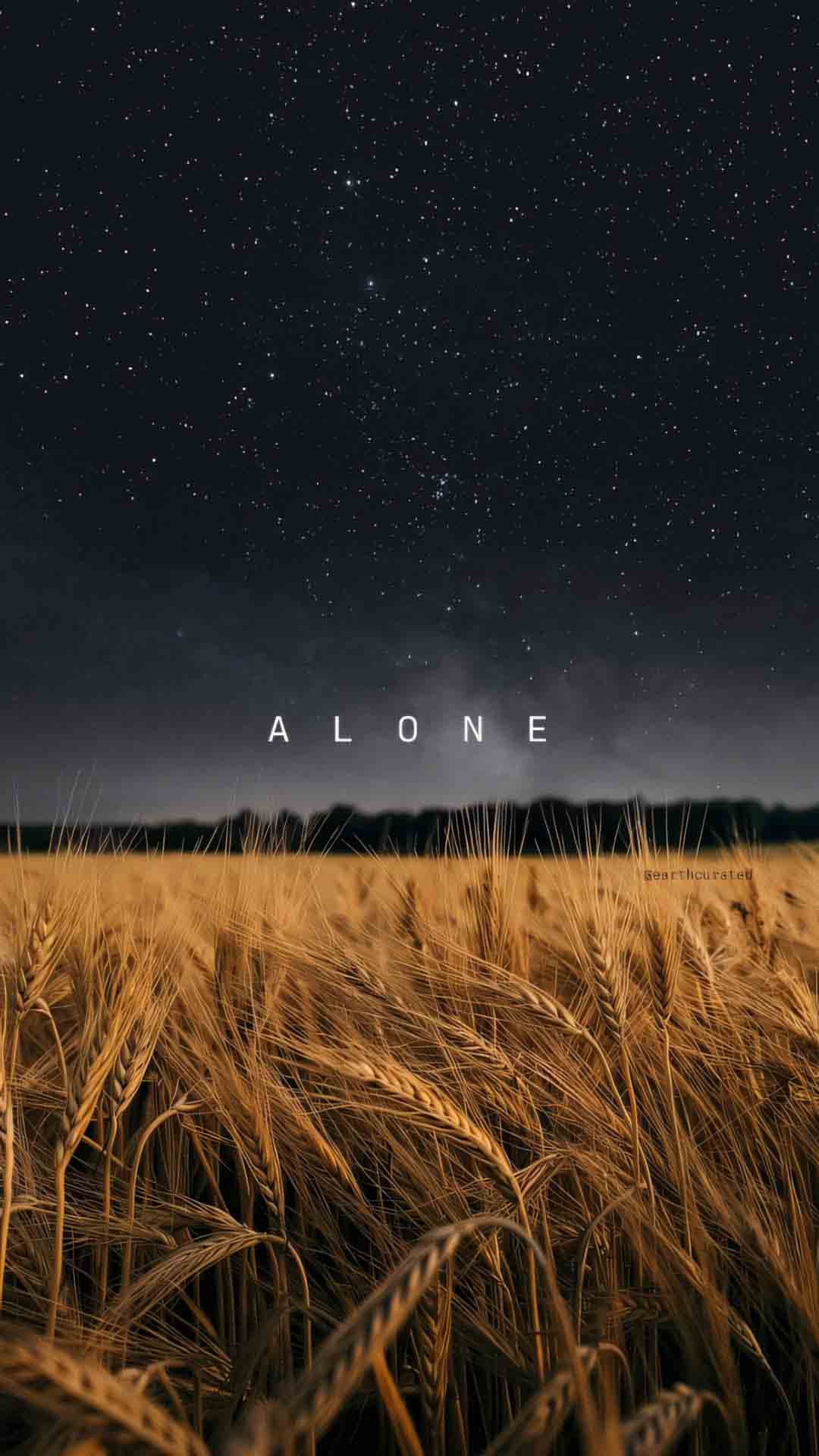 hinh nen co don 1920px 1080px full hd 3