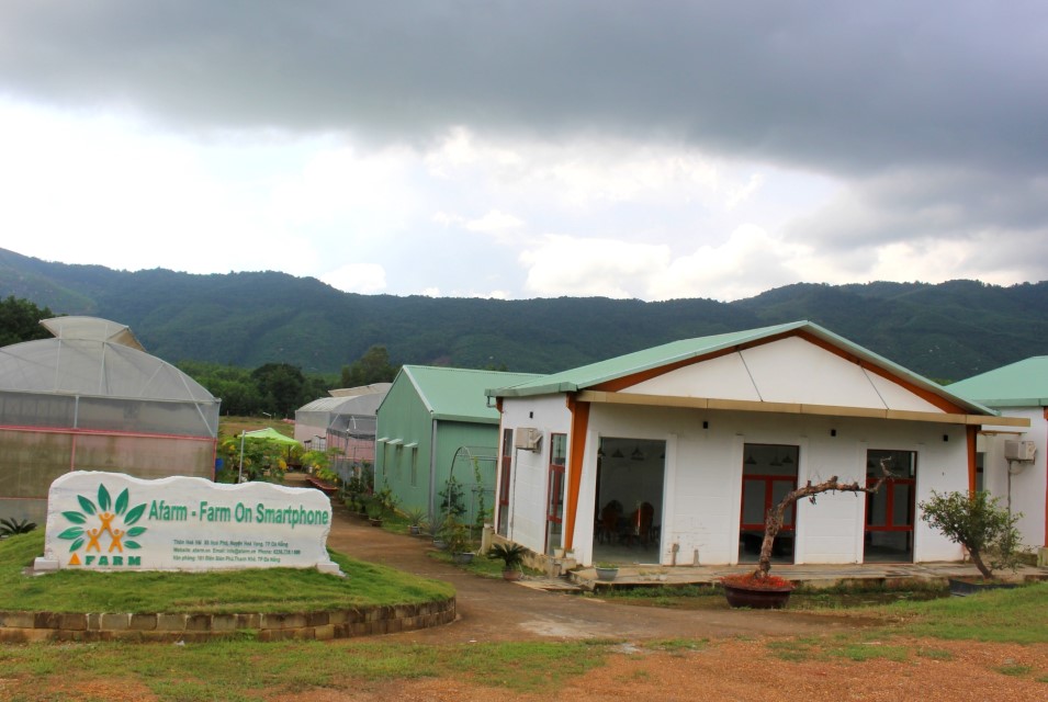 Tham quan nông trại cầm điện thoại ‘làm hết’ chuyện nhà nông