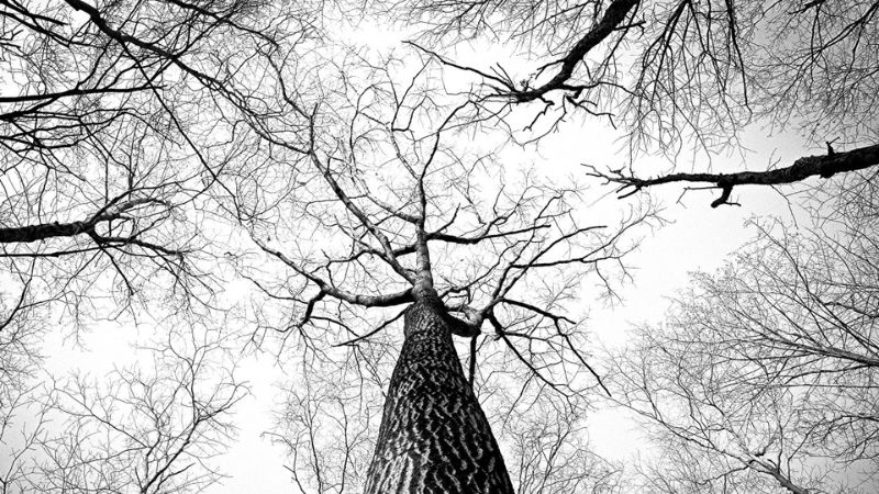 anh-trang-den-mien-phi-chat-luong-cao-16