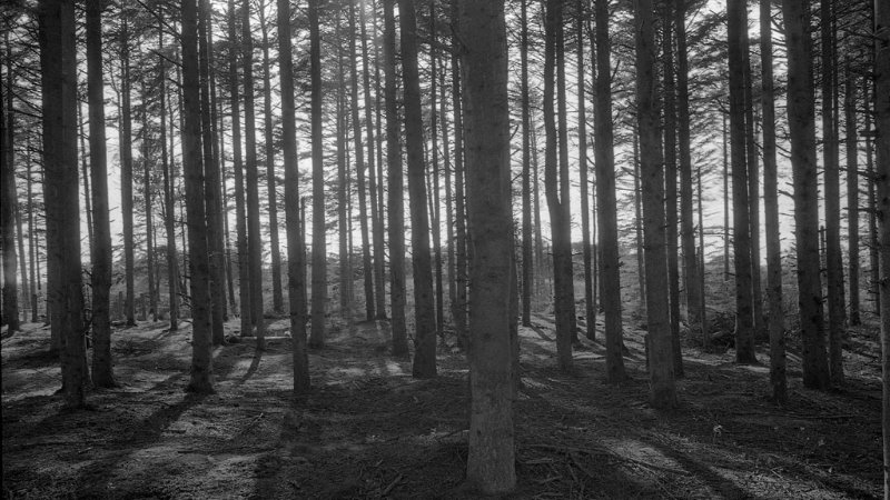 anh-trang-den-mien-phi-chat-luong-cao-37