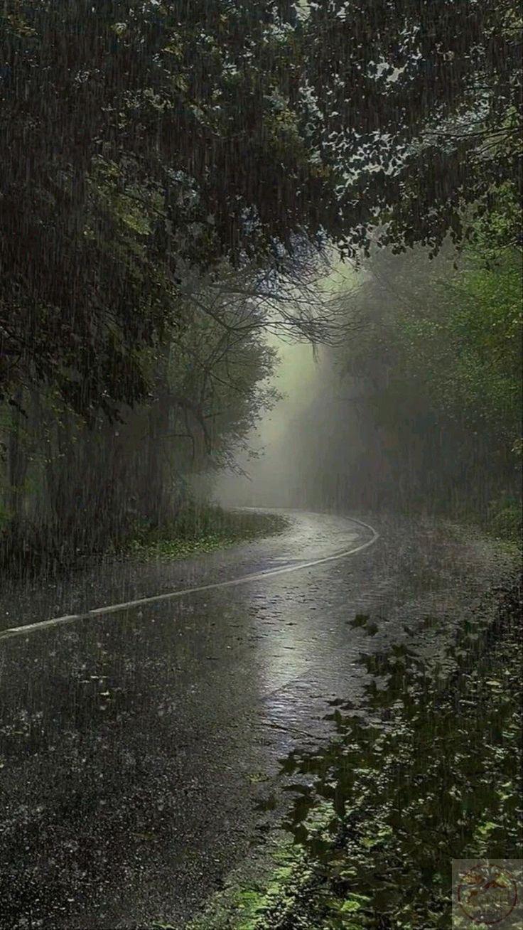 Những bức nền mưa mang lại cảm giác yên bình và gần gũi hơn