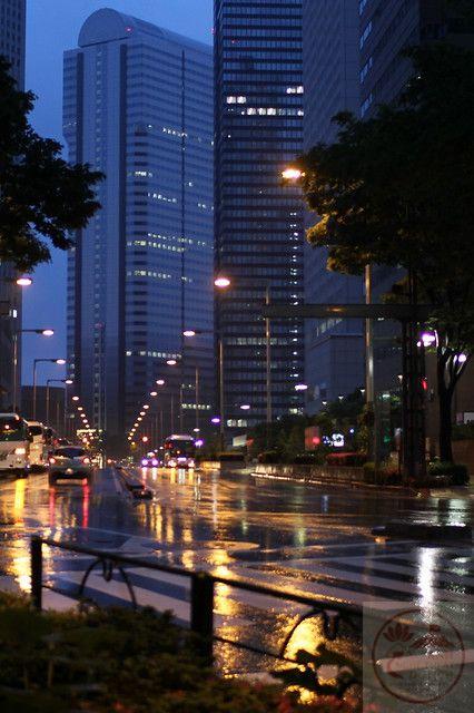 Không gian phố trong mưa đem lại sự gắn kết với ký ức tuổi thơ