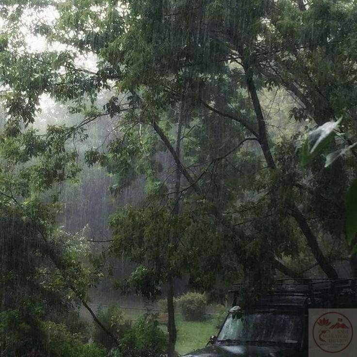 Tiếng mưa rơi trên phố như lời thì thầm của một bản nhạc cũ