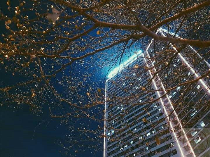 Mưa đêm Hà Nội làm ta nhận ra sự gắn bó giữa ký ức và hiện tại