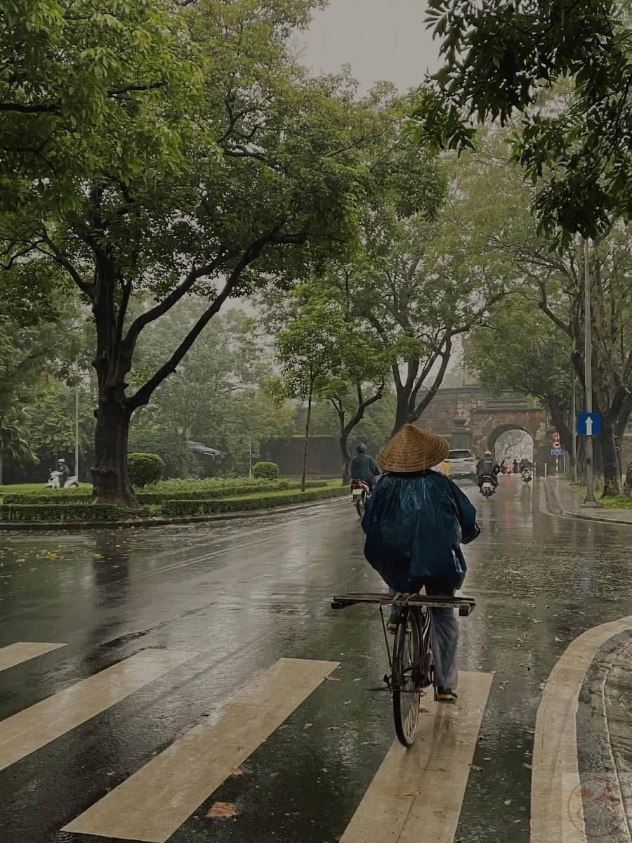 Cảnh mưa Huế làm hiện rõ sự trữ tình và nét đẹp mộc mạc thân quen