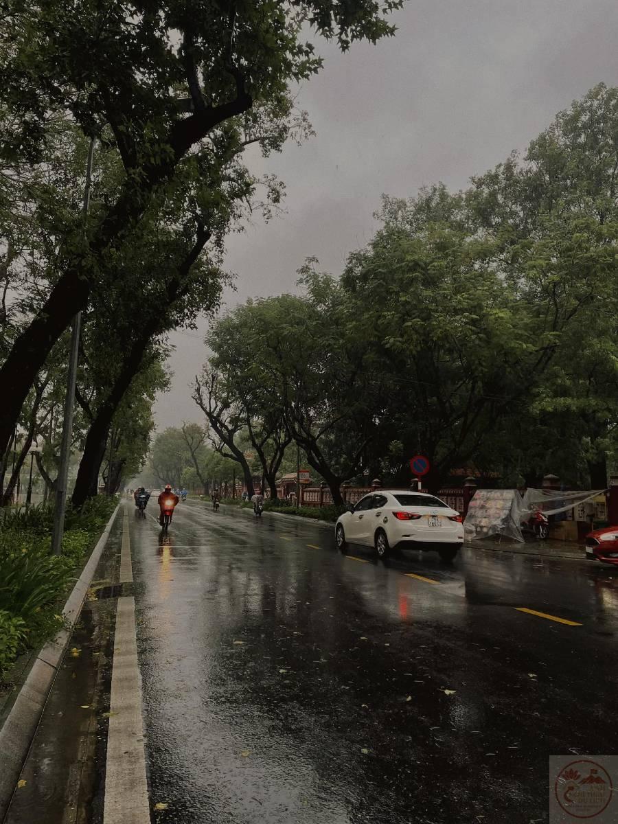 Hình ảnh mưa Huế làm con tim người xem thêm nhiều suy tư mơ mộng