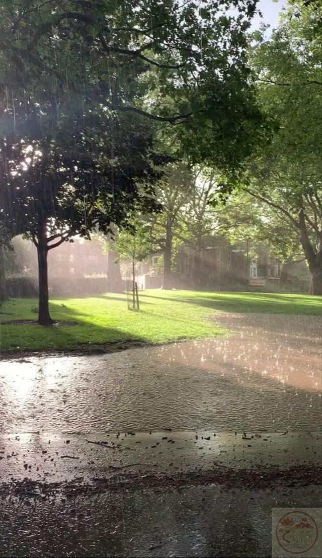 Mùa hè có mưa làm không gian trở nên tươi mới và đầy sức sống