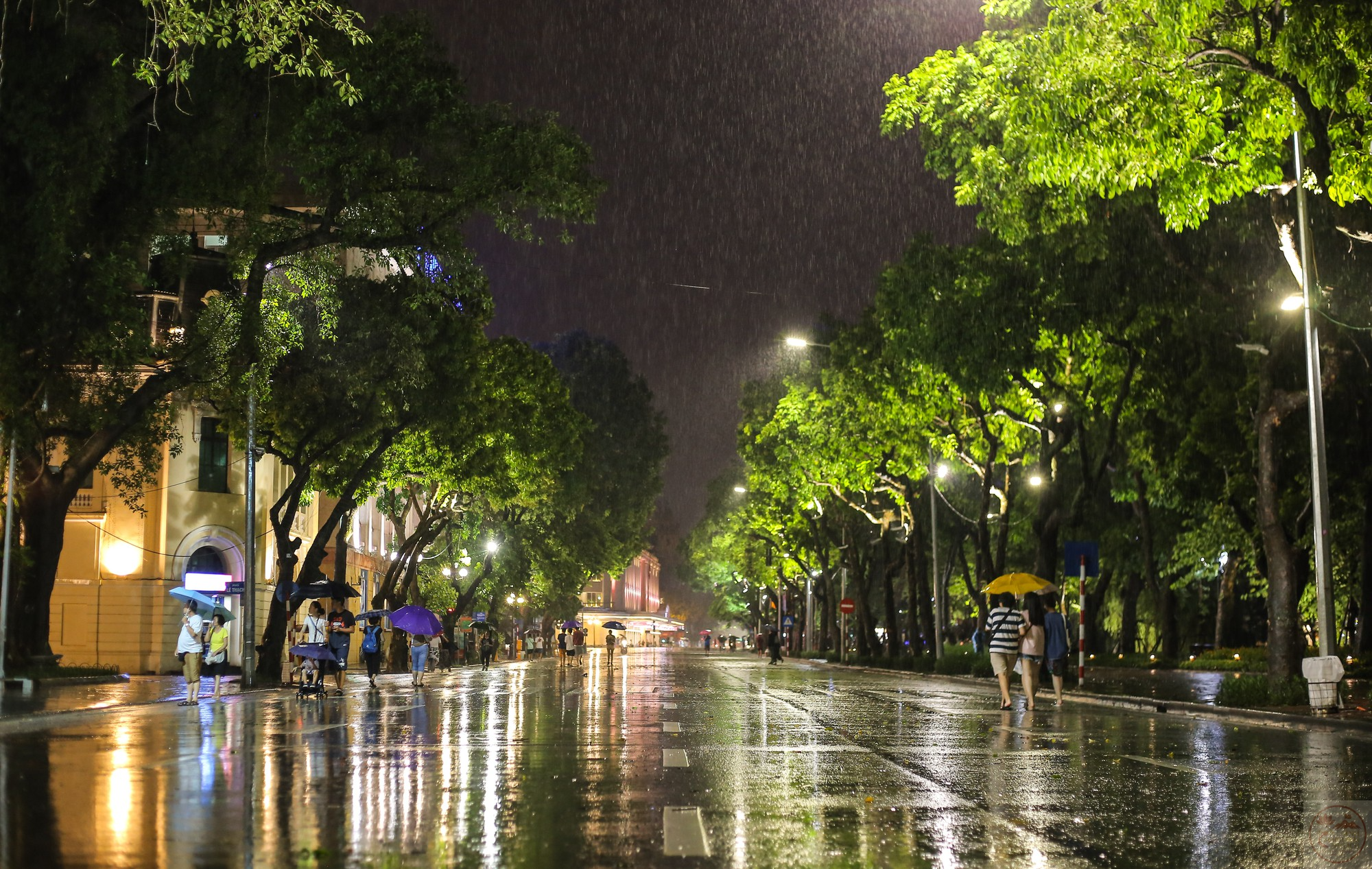 Ảnh mưa đêm Hà Nội