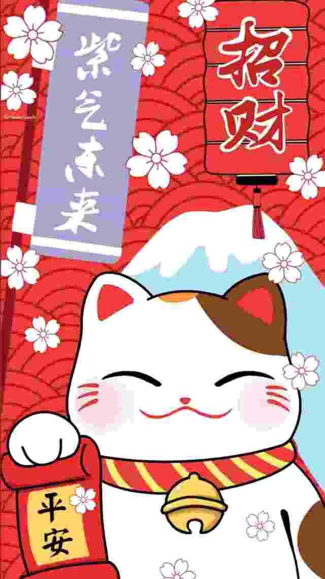 Hình nền mèo cute cho điện thoại