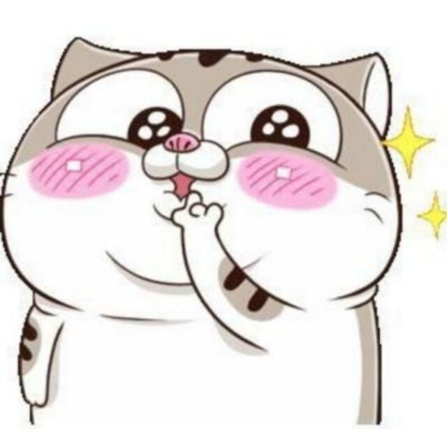 Avatar mèo cute chibi