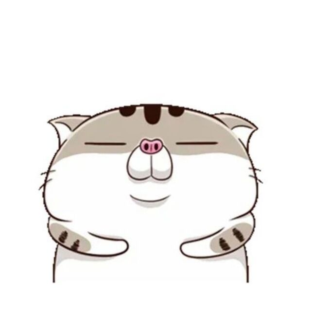 Avatar mèo cute chibi