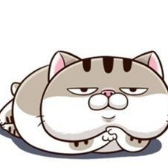 Avatar mèo cute chibi