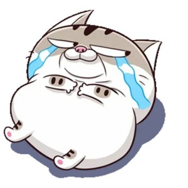 Avatar mèo cute chibi