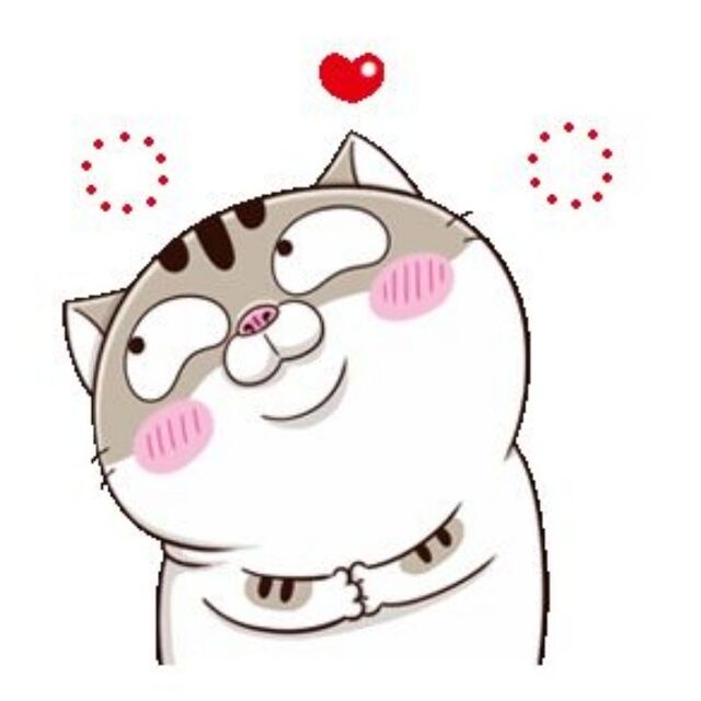 Avatar mèo cute chibi