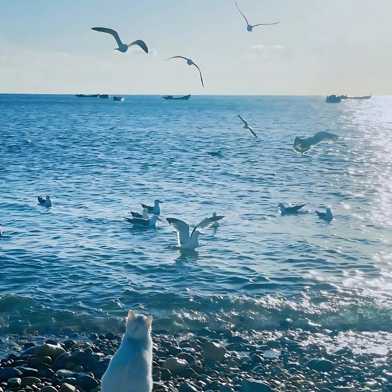 hình ảnh buồn thiên nhiên màu sắc