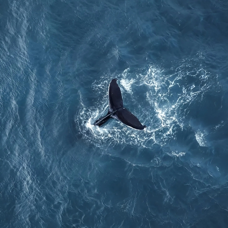 hình ảnh buồn thiên nhiên chào ngày mới