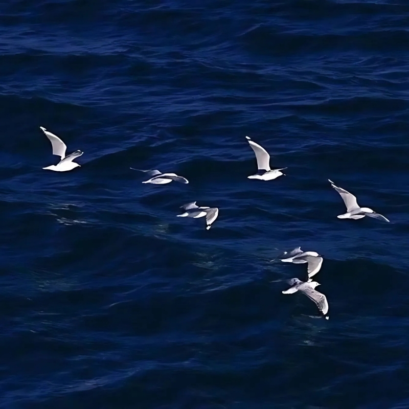 hình ảnh buồn thiên nhiên hoang vũ nhất