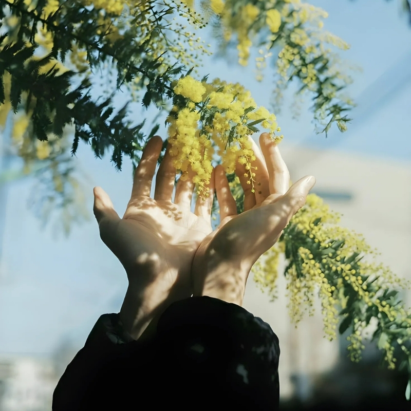 hình ảnh buồn thiên nhiên nỗi đau