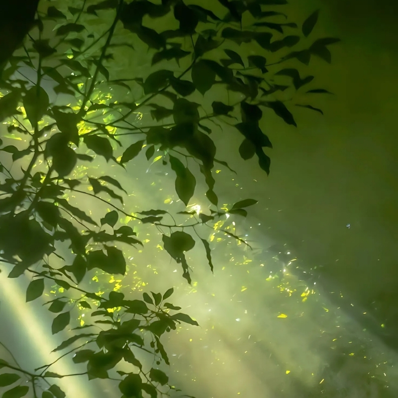 ảnh đại diện buồn thiên nhiên chill