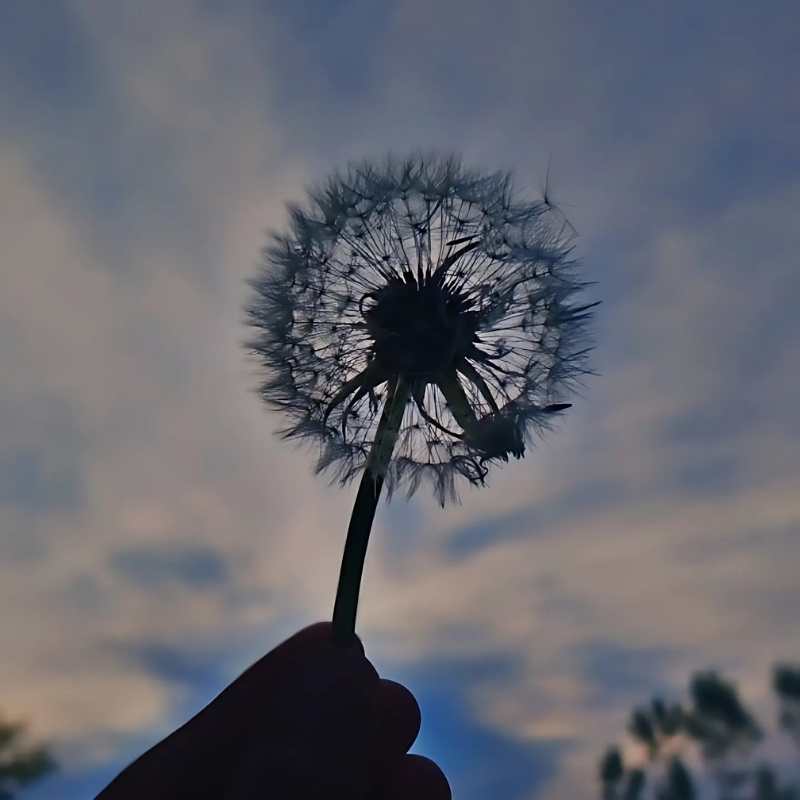 hình buồn tâm trạng lãng mạn