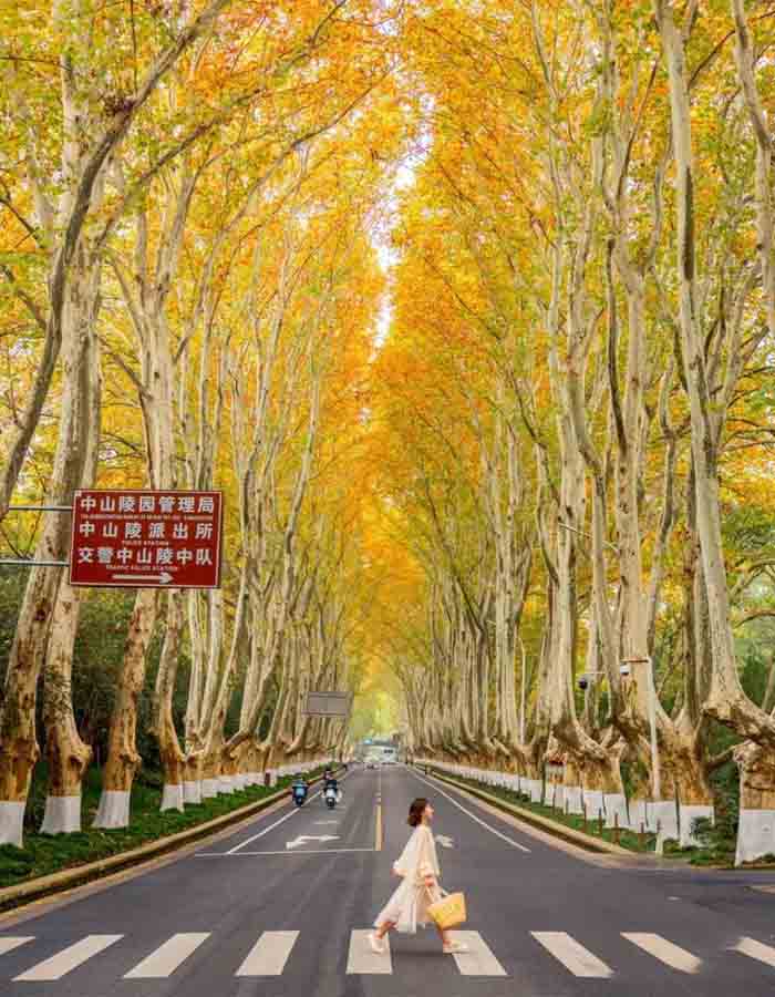 Ảnh đường phố chụp lén