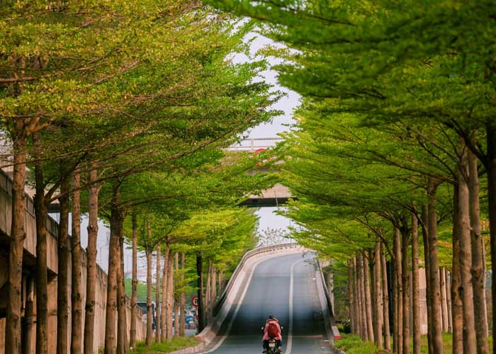 Ảnh đường phố cận cảnh