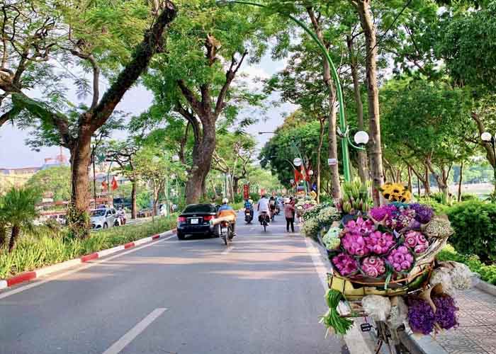 Ảnh đường phố và hoa