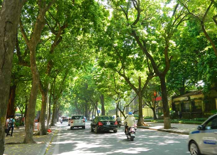 Avatar đường phố