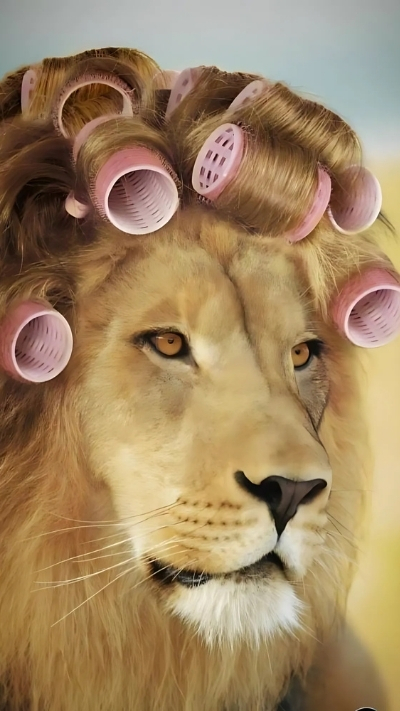 Hình nền đẹp cho nữ dễ thương trên điện thoại