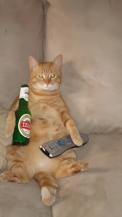 Meme vui nhộn cho điện thoại đáng yêu