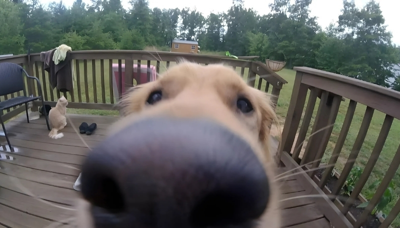 Meme vui nhộn cho máy tính thêm phong cách