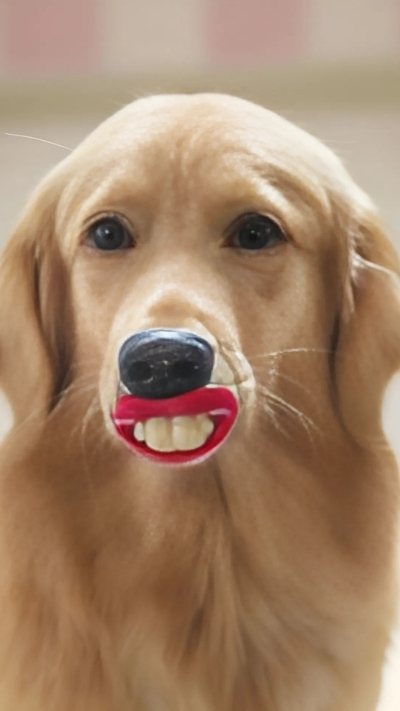 Hình nền dễ thương cho nhóm bạn vui vẻ