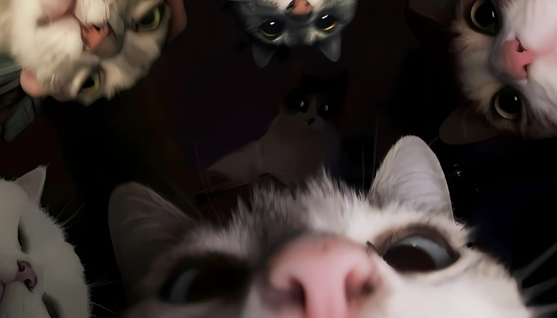 Nền đẹp cho nhóm bạn trên máy tính