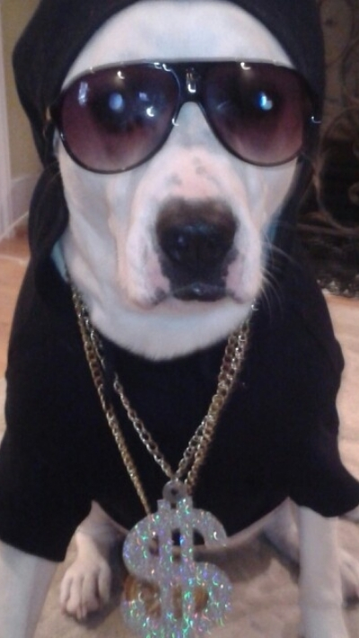 Nền đẹp 4K cho nhóm thêm chất chơi