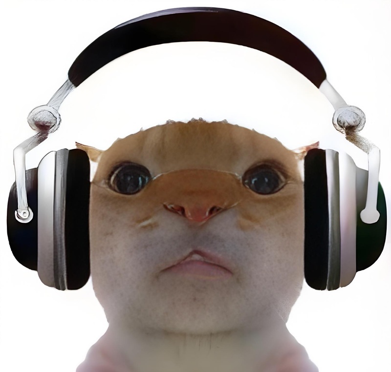 Avatar mèo ngáo với khuôn mặt ngộ nghĩnh