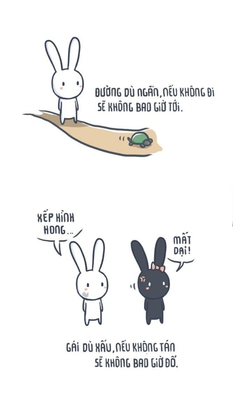 Ảnh meme thỏ 7 màu ngộ nghĩnh