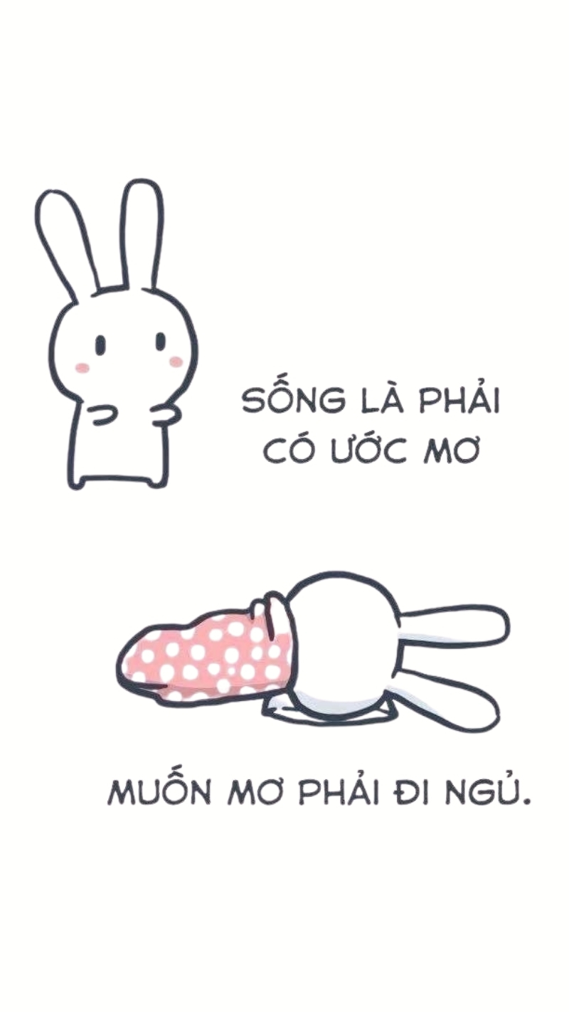 Hình meme thỏ 7 màu troll bá đạo