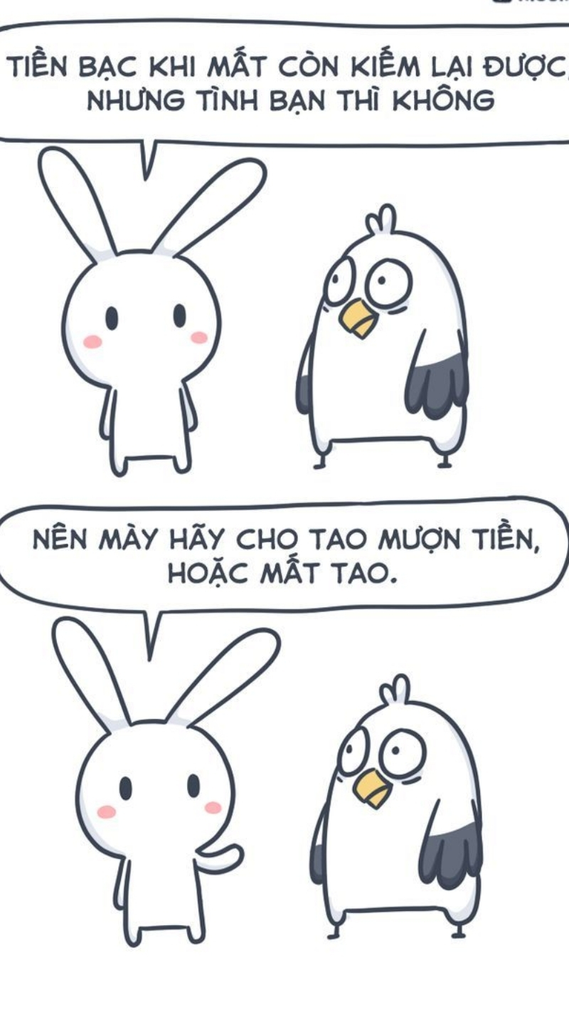 Meme thỏ 7 màu chất chơi rõ nét