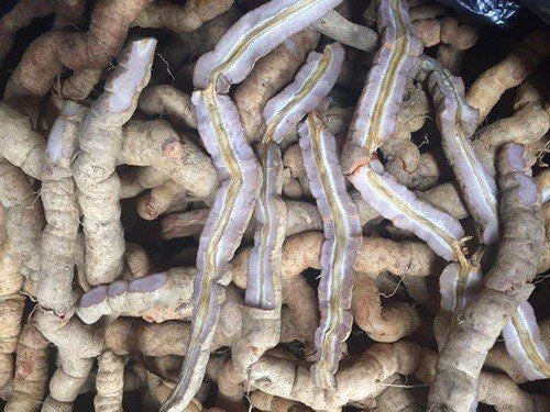 Tác dụng với sức khỏe của ba kích?